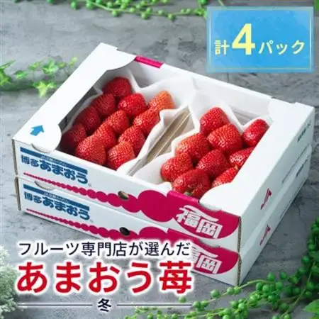 【12月上旬より順次発送】酸味と甘みの絶妙なバランス・冬あまおう4パック(大牟田市)_果物・フルーツ いちご  イチゴ 苺_【配送不可地域：離島・北海道・沖縄県】【1226660】