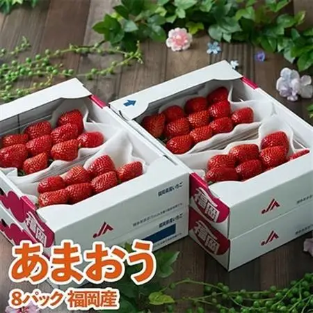 【12月上旬より順次発送】酸味と甘みの絶妙なバランス・冬あまおう8パック(大牟田市)_果物・フルーツ いちご  イチゴ 苺_【配送不可地域：離島・北海道・沖縄県】【1226664】