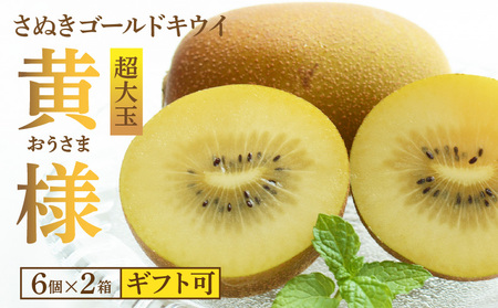 【10月下旬より】さぬきゴールドキウイ「黄様」超大玉6個入り×2箱【ギフト可】