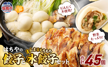 【餃子と水餃子】 セット (はちやの餃子15個／まんまるもちもち水餃子30個) 冷凍 【04203-0455】 5037886 餃子 ぎょうざ 水餃子 惣菜