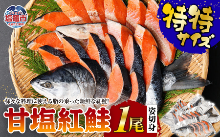 紅鮭 １尾 姿切身 特特サイズ 甘塩 鮭 さけ