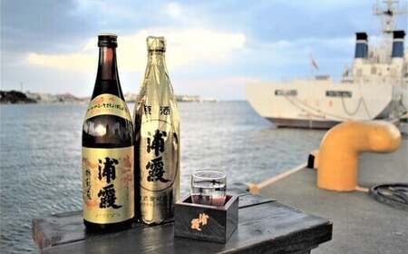 日本酒 浦霞 生一本・原酒セット　【04203-0423】