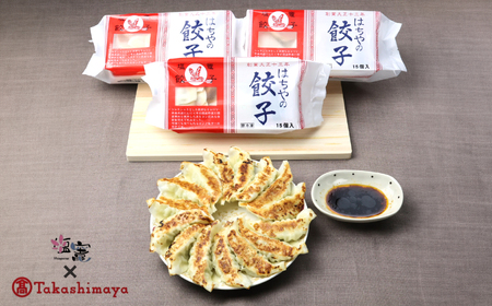 【高島屋選定品】 はちやの餃子セット 塩竈市×高島屋コラボ 宮城県【04203-0356】 