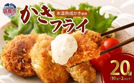 カキフライ かきフライ（10個 × 2パックセット）【04203-0388】