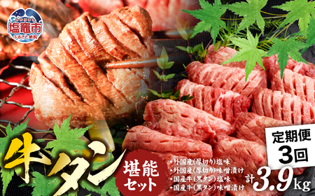 【定期便】牛タン 仙台名物 厚切り 牛たん 堪能贅沢 セット（全3回の定期便）　【04203-0417】