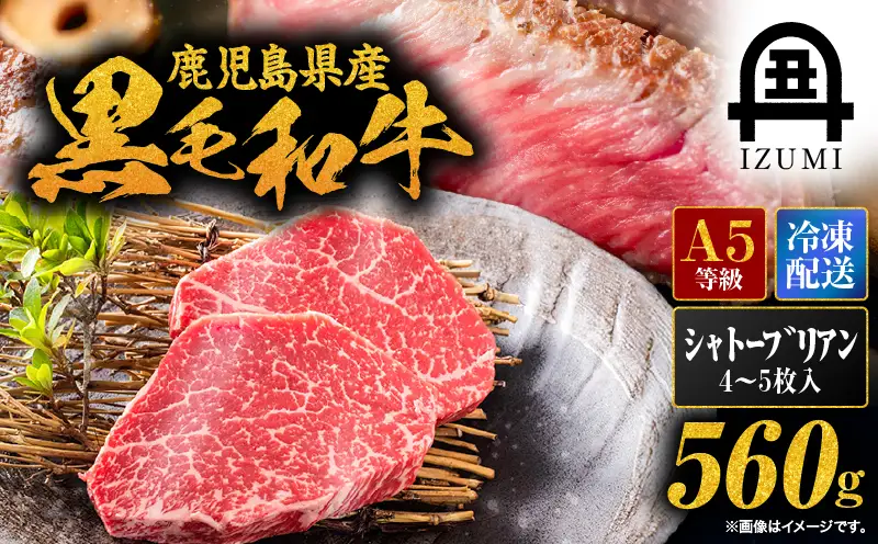 506-1 鹿児島県産 黒毛和牛 シャトーブリアン 4～5枚入（約560g） KN019-008 肉 牛 冷凍