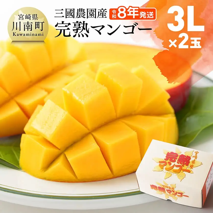 【令和8年発送】宮崎県産完熟マンゴー三國農園完熟マンゴー3L×2玉 フルーツ マンゴー