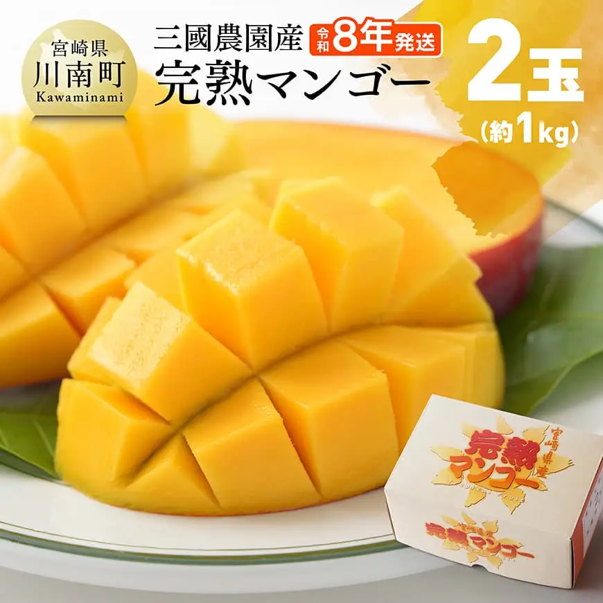 【令和8年発送】宮崎県産完熟マンゴー　三國農園　完熟マンゴー2玉（約1kg） 【 果物 フルーツ マンゴー 宮崎県産 完熟マンゴー みやざきマンゴー 】