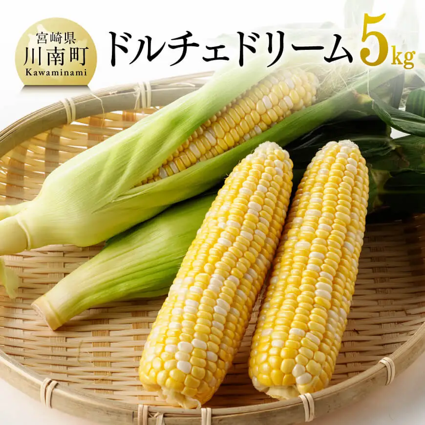 【令和8年発送】宮崎県産とうもろこし 朝どれ！守部さんちのドルチェドリーム5kg スイートコーン