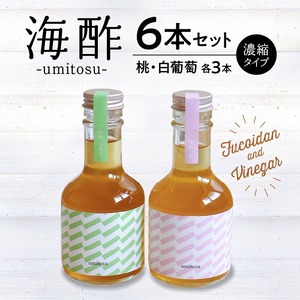 海酢6本セット（濃縮タイプ）_海酢 180ml 6本 セット 桃 白ぶどう 各 3本 濃縮タイプ フルーツビネガー umitosu フコイダン 配合 お酢 ドリンク 炭酸割り ミルク割り アレンジ いろいろ かわいい こだわり 瓶 ギフトボックス入り 贈答用 おすすめ お取り寄せ 福岡県 久留米市 送料無料 〔Ex210〕