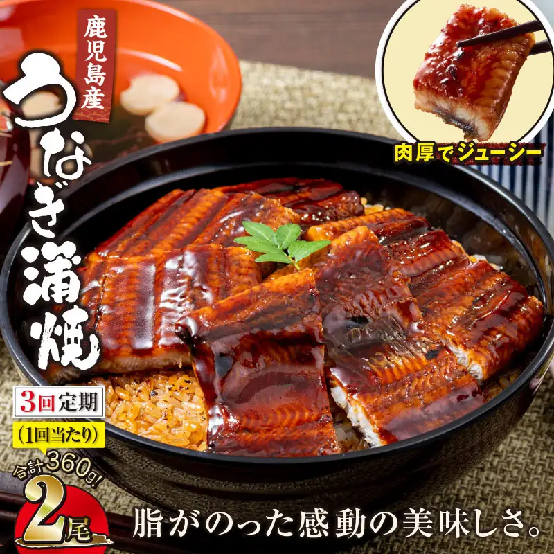 1547-3 【全3回定期便】鹿児島産うなぎ 合計360g（180g×2尾） KN021-T01 鰻 魚 惣菜 総菜