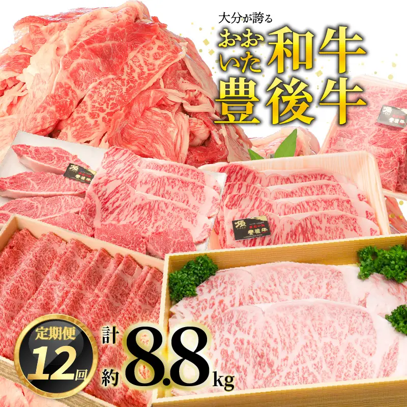 【プレミアム定期便】大分が誇る おおいた和牛・豊後牛毎月お届け定期便（12回）  T10020