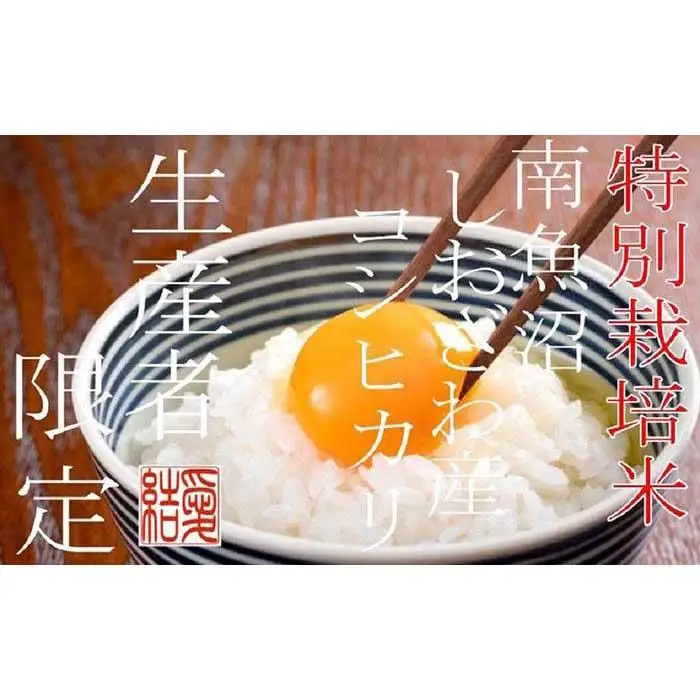【令和7年産】【定期便4Kg×12ヶ月】【特別栽培米】 契約生産者限定  南魚沼しおざわ産コシヒカリ【定期便 銘柄米 ブランド米 精米 こしひかり コシヒカリ 魚沼産 新潟米 産地直送 お米 米 こめ コメ ご飯 御飯 ごはん】