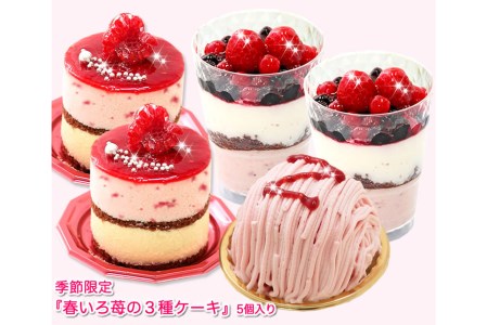 【3月中旬から発送】季節限定！苺の3種ケーキ　北海道・新ひだか町のオリジナルスイーツ ＜ 予約商品 ＞