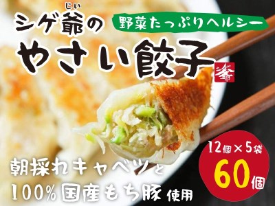 ttm144国産素材にこだわったシゲ爺のやさいぎょうざ