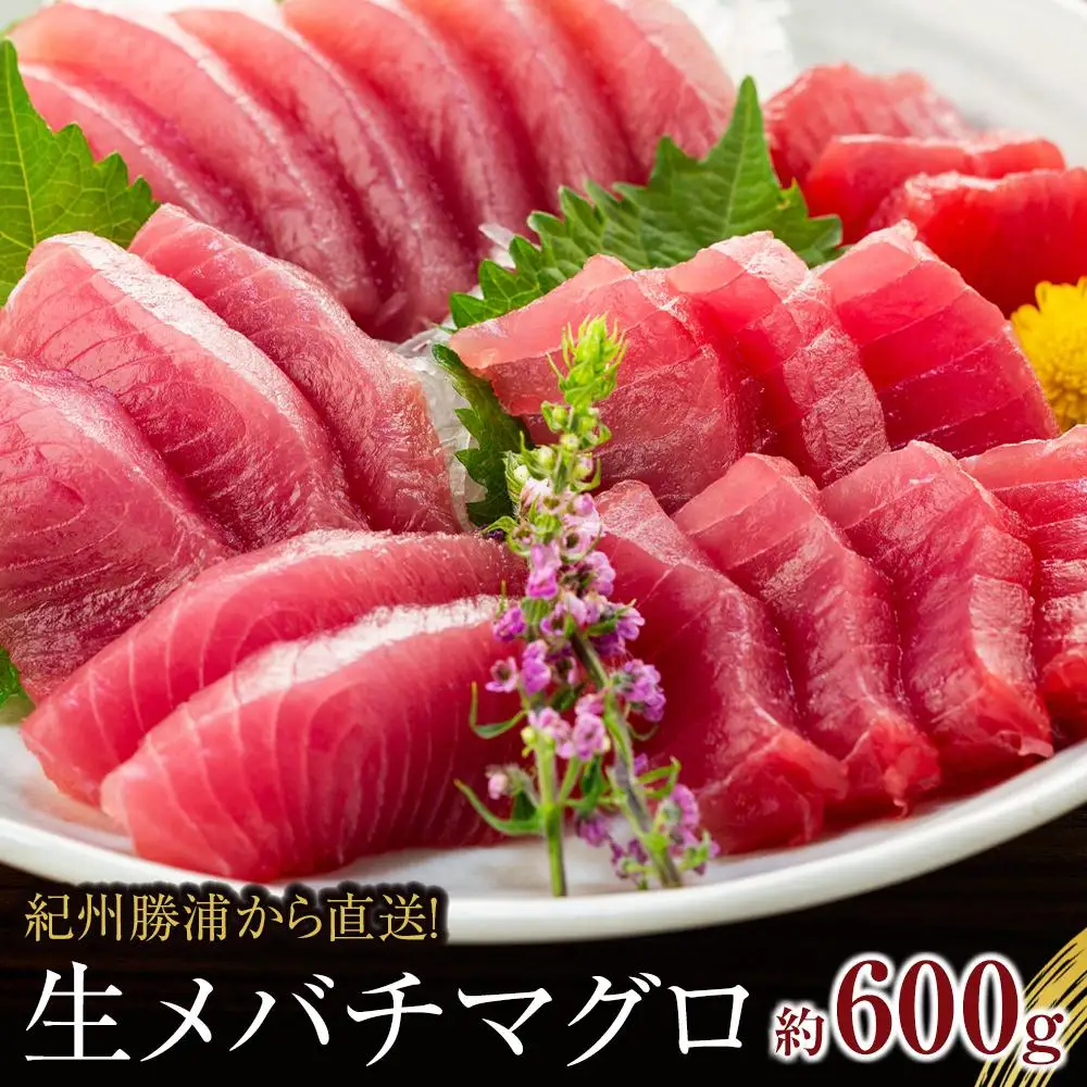 生まぐろの本場紀州勝浦から直送！　生メバチマグロ 約600g