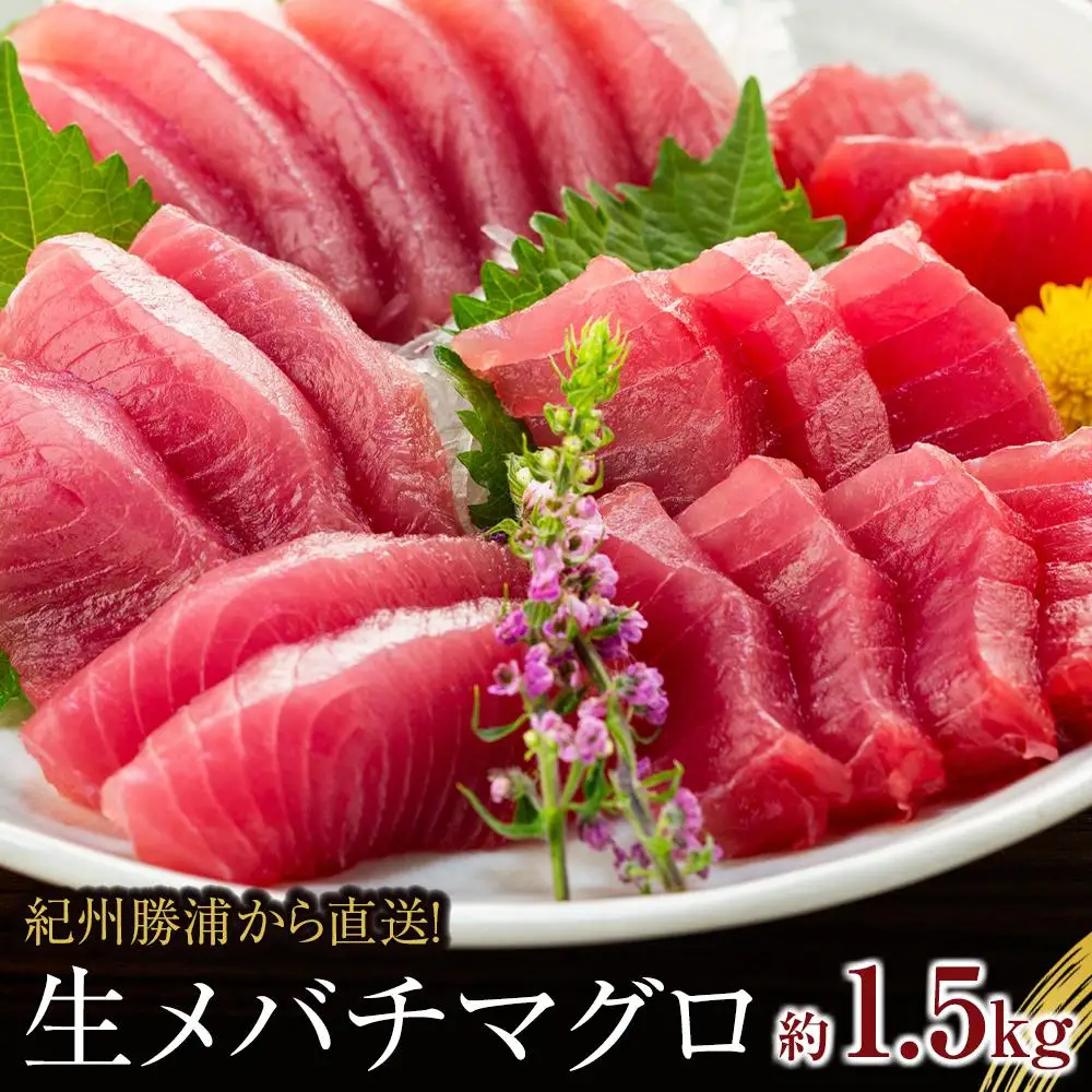 生まぐろの本場紀州勝浦から直送！　生メバチマグロ 約1.5kg
