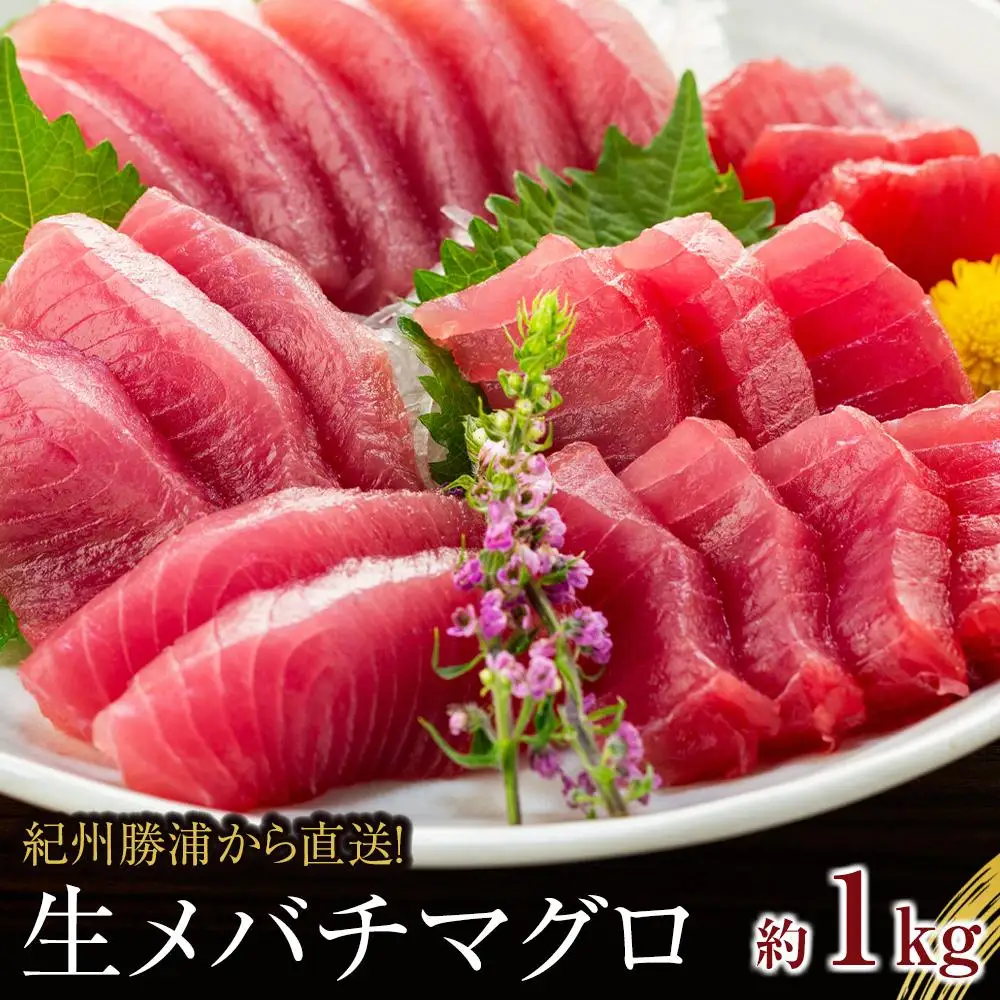 生まぐろの本場紀州勝浦から直送！　生メバチマグロ 約1kg