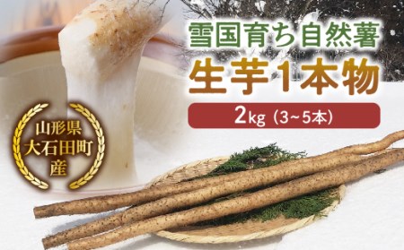 山形県産 雪国育ち自然薯 生芋1本物 2kg（3～5本） F2Y-5114