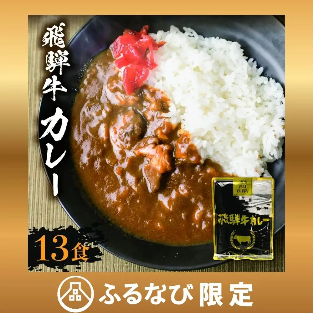 【ふるなび限定】飛騨牛カレー13袋 訳あり |  ビーフ レトルト 訳あり ふるさと清見 DC006-CP01　FN-Limited-VO