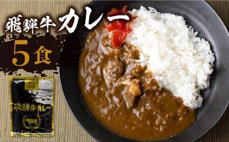 飛騨牛カレー 訳あり（160ｇ×5袋) | 訳あり カレー  ビーフ レトルト  ふるさと清見 DC005VC13