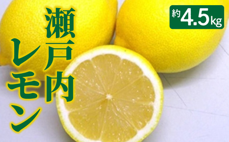 瀬戸内レモン 約4.5kg