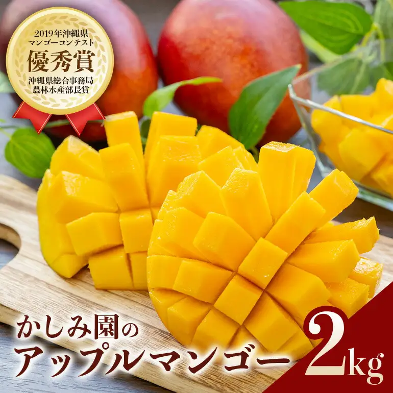 【 先行予約 2026年 発送 】 優秀賞受賞のかしみ園 アップルマンゴー 2kg 沖縄県産 マンゴー アーウィンマンゴー 2キロ 国産 完熟マンゴー 果物 南国 くだもの フルーツ 完熟 夏 旬 特産品 沖縄 お取り寄せ 産地直送 農家直送 甘い 濃厚 糸満市 18-4