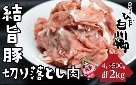 結旨豚 切り落とし 計2kg (500g×4)  豚肉 白川郷 [S226]　豚肉