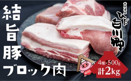 白川郷 結旨豚 ブロック肉 4種 計2kg ｜ ブロック肉   [S225]