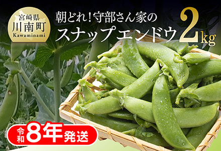 【令和8年発送】朝どれ！守部さん家のスナップエンドウ2.0kg 【 野菜 宮崎県産 エンドウ豆 えんどう豆 おつまみ 2026年発送 】