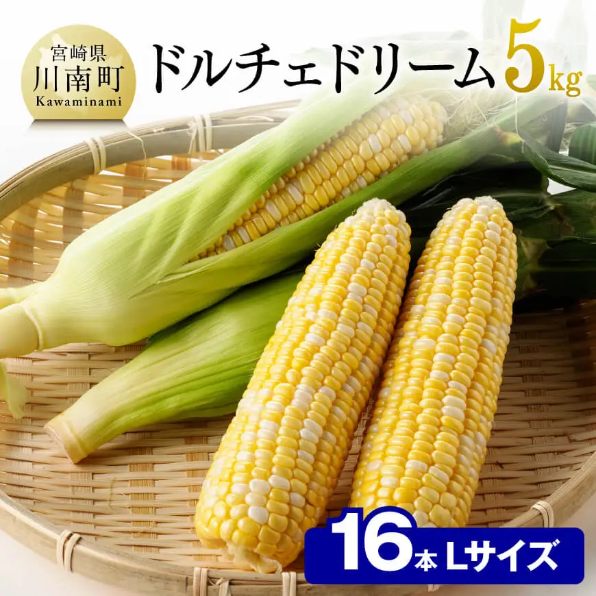 【令和8年発送】宮崎県産とうもろこし朝どれ！守部さんちのドルチェドリーム (L)5kg スイートコーン