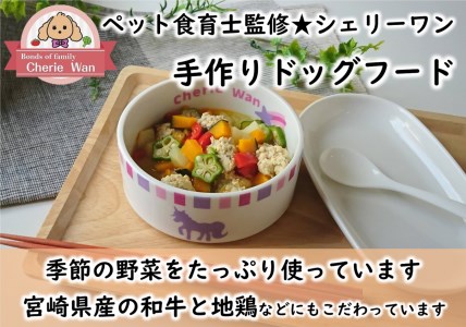 ドッグフード 【ペット食育士監修】 日向市産の野菜をたっぷり使った 手作り ドッグフード (4種×各1個) [ウィズ・クリエイティブ 宮崎県 日向市 452060821]
