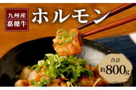 嘉穂牛 ホルモン 約800g ブランド牛