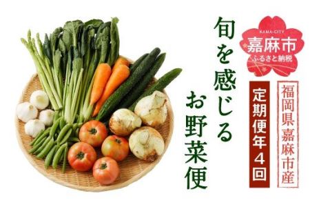 旬を感じるお野菜 定期便 年4回 季節 野菜セット