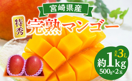 【2026年発送先行予約】《数量・期間限定》完熟！宮崎マンゴー 特秀 大玉3Lサイズ 2玉化粧箱入り 国産 マンゴー 特秀品 2玉 化粧箱 化粧箱入り 完熟 大玉 3L 冷蔵 フルーツ 果物 旬の果物 くだもの 特産品 お取り寄せ 贈答 ギフト