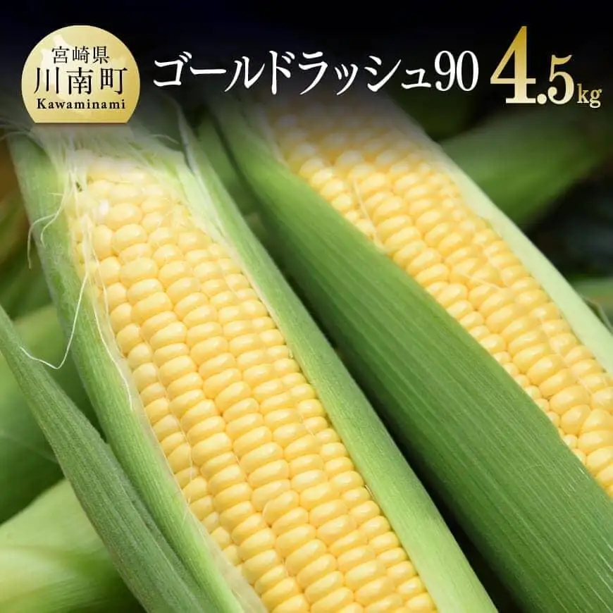 【令和8年発送】政岡さんちのスイートコーン『ゴールドラッシュ90』4.5kg スイートコーン
