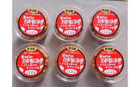 魚沼産 ひでこかあちゃんの自家製味噌 みそ 