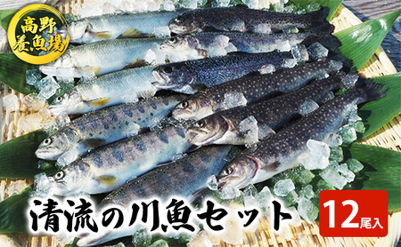 清流の川魚 セット 12尾入(ヤマメ・イワナ・ニジマス・アユ)魚12尾 ヤマメ イワナ ニジマス アユ 山女 岩魚 虹ます 虹鱒 鮎 マス ます 鱒