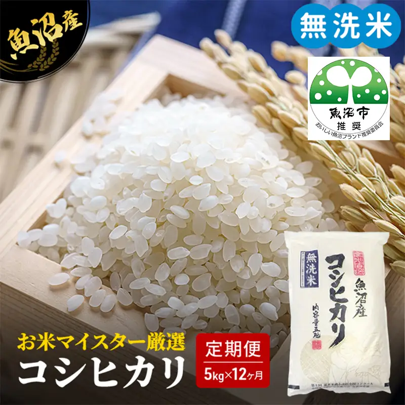 無洗米 定期便 12ヶ月 コシヒカリ 5kg 米 白米 お米 魚沼産コシヒカリ 新潟米 新潟 魚沼市 定期 12回