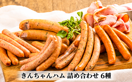 きんちゃんハム 詰め合わせ お肉 ソーセージ 