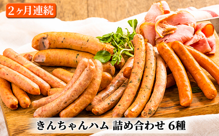 きんちゃんハム 詰め合わせ 2ヶ月連続お届け お肉 ソーセージ 定期便 