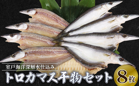 カマス 干物 8枚 国産 カマス