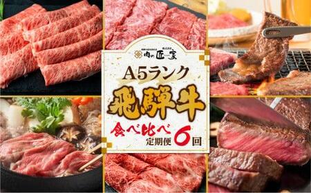 【定期便 6ヶ月】＜全6回＞飛騨牛 食べ比べ（ステーキ／焼肉／すき焼き／しゃぶしゃぶ）|  牛肉 定期便 肉の匠家 BV104