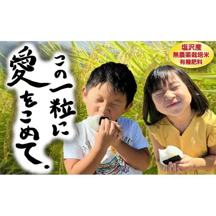 【令和7年産】この一粒に愛をこめて【四代目田中の最高傑作品】玄米10kg【銘柄米 ブランド米 玄米 こしひかり コシヒカリ 魚沼産 新潟米 産地直送 お米 米 こめ コメ ご飯 御飯 ごはん】