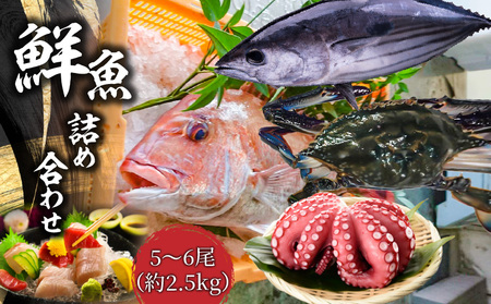 鮮魚詰め合わせ 5～6尾(約2.5kg)