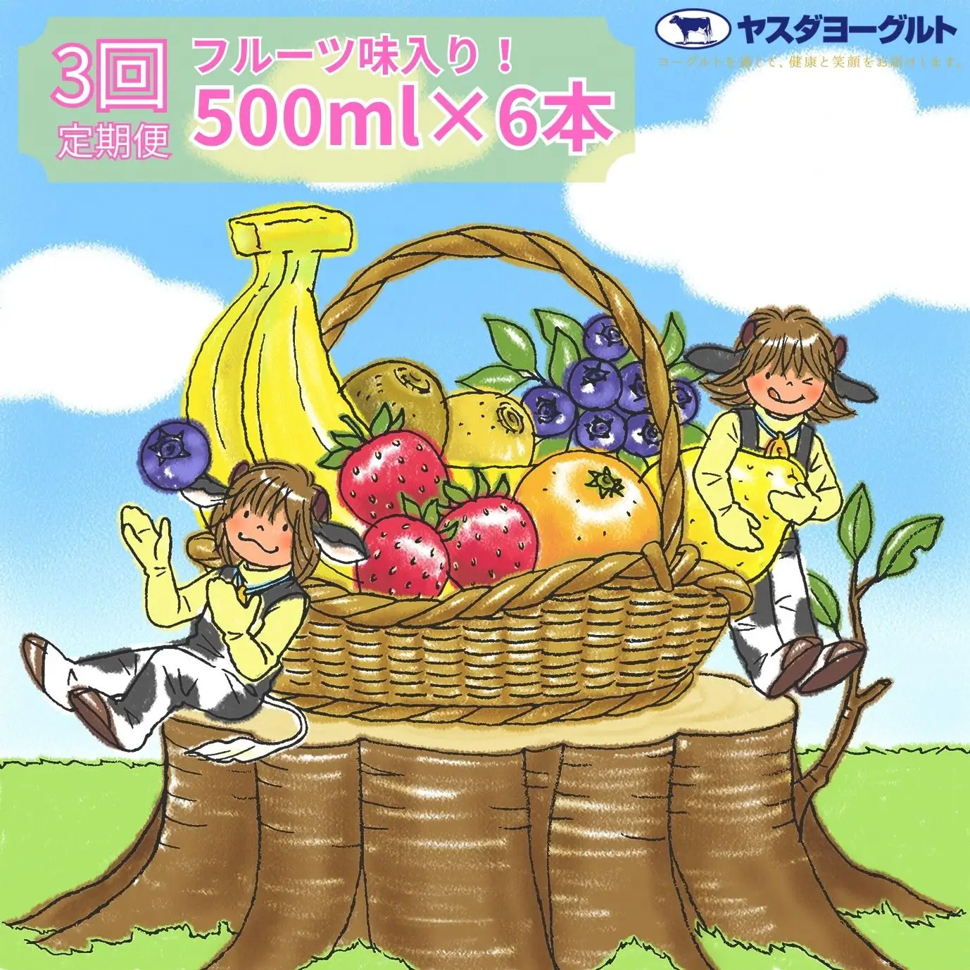 【3か月定期便】ヤスダヨーグルト 500ml×6本×3回 バラエティセット こだわり生乳 濃厚 飲むヨーグルト のむよーぐると ヨーグルト 1B29028