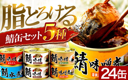 鯖缶詰24缶詰め合わせＡ 180g × 24缶 ｜ 鯖 サバ さば 鯖缶 サバ缶 さば缶 鯖缶詰 サバ缶詰 さば缶詰 保存食 常備食 非常食 備蓄 災害対策 水煮 味噌煮 本醸造醤油仕立て 唐辛子 生姜 おつまみ  [BFAB037]