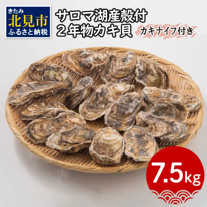 【予約：2026年10月より順次発送】【カキナイフ付】海のミルクサロマ湖産殻付2年物カキ貝 7.5kg 60～75個入 ( 魚介類 海鮮 魚介 牡蠣 かき カキ )【031-0019-2026】