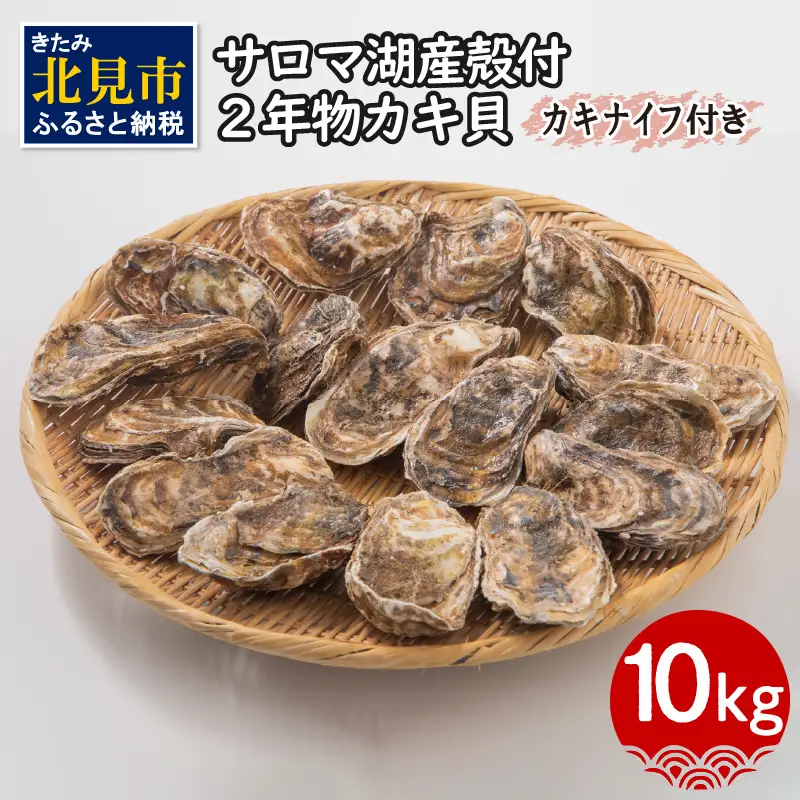 【予約：2026年10月より順次発送】【カキナイフ付】海のミルクサロマ湖産殻付2年物カキ貝 10kg 80～100個入 ( 海鮮 魚介類 貝 お歳暮 お祝い BBQ )【031-0020-2026】