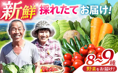 諫早産野菜の詰め合わせ 8〜9品目程度 / 季節 旬 野菜 やさい セット 春野菜 夏野菜 秋野菜 詰め合わせ / 諫早市 / 肥前グローカル株式会社[AHDI004]